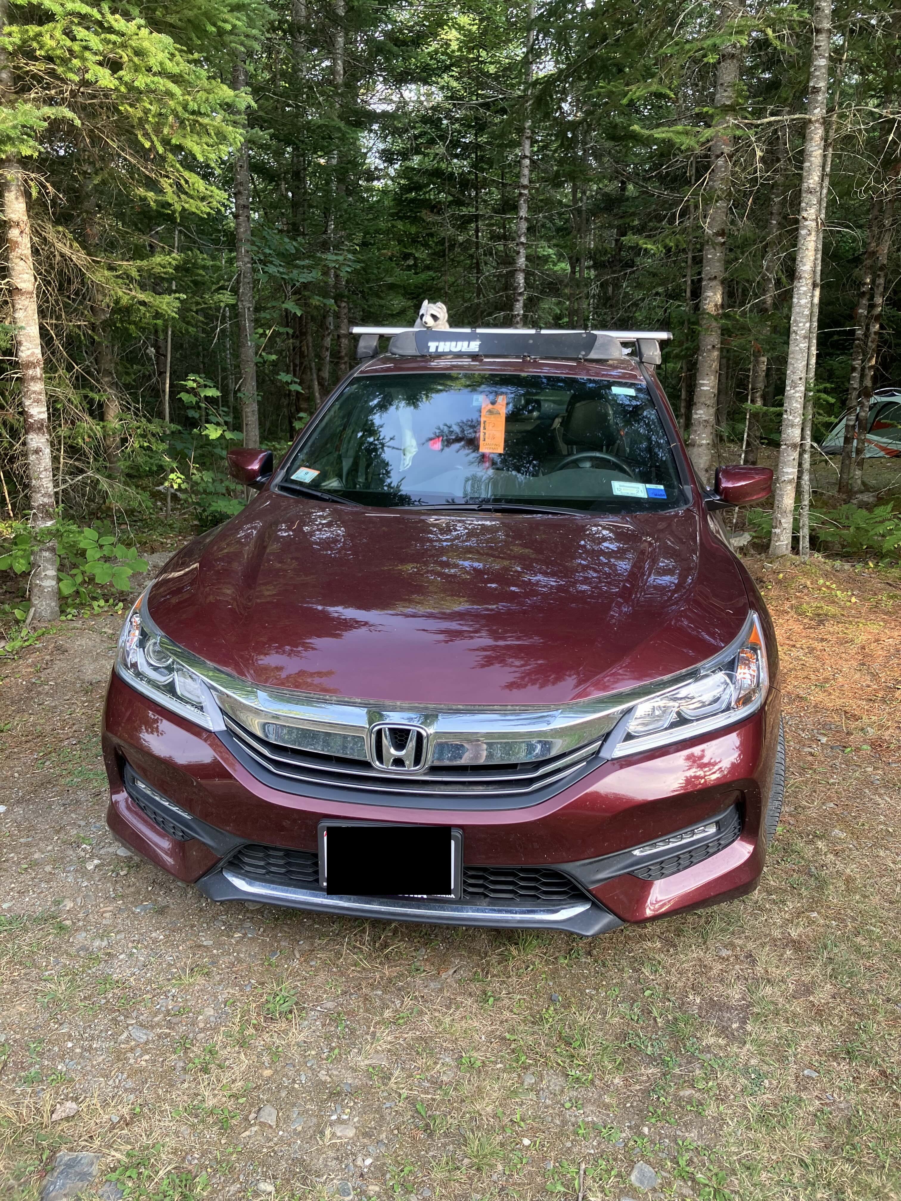 accord2016_001.JPEG